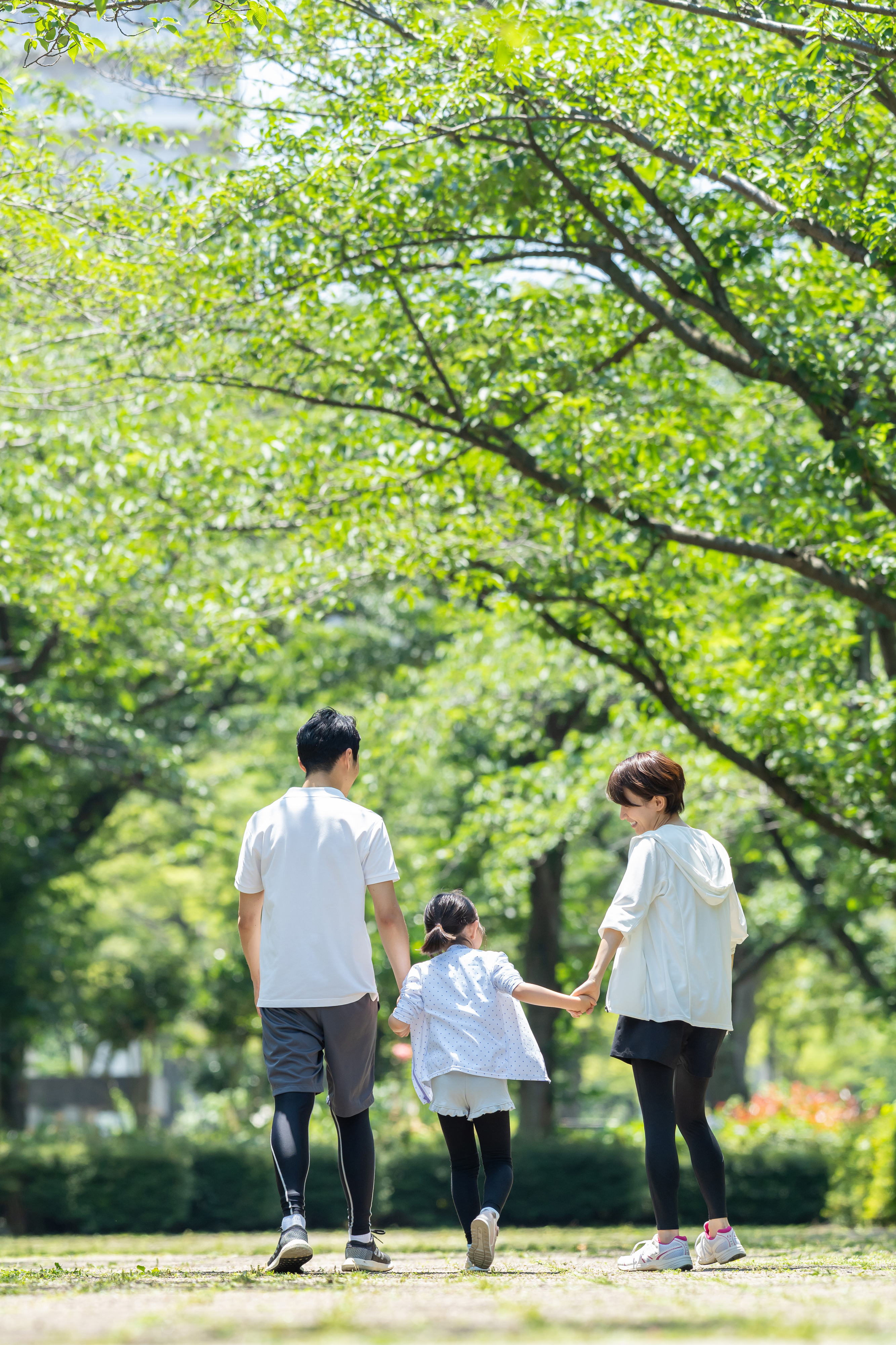 新緑の公園を歩く家族
